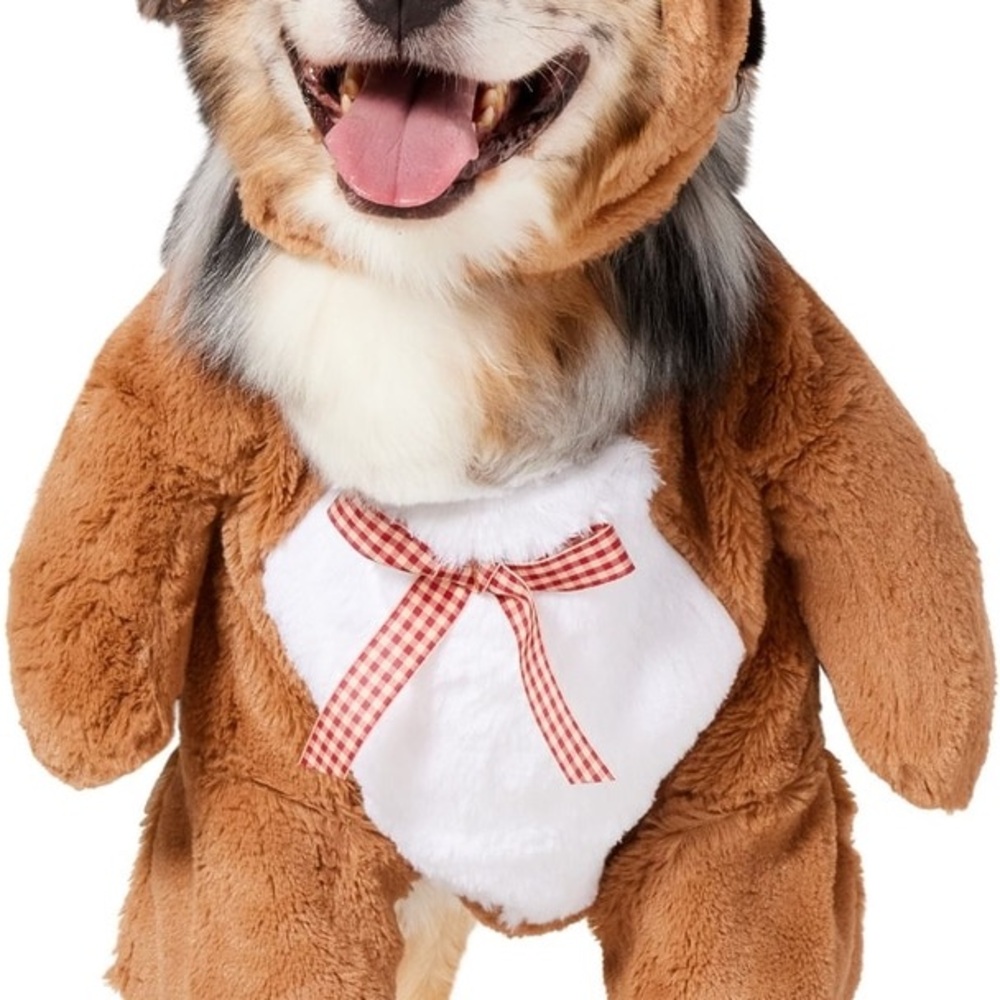 Frisco dog teddy bear front walking costume size XXL